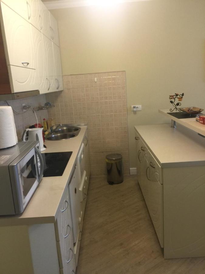 Apartment Bitef Centar Белград Екстер'єр фото